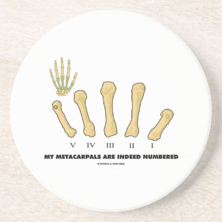 Dessous De Verre En Grès Mon Metacarpals sont en effet numérotés
