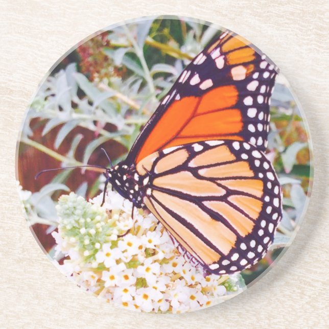 Dessous De Verre En Grès Monarch Butterfly (Devant)