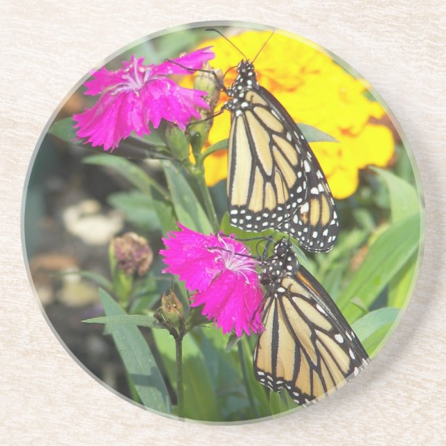 Dessous De Verre En Grès Monarch Twins #2-coaster (Devant)