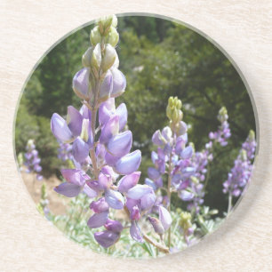 Dessous De Verre En Grès Mont Lupins