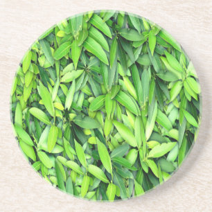 Dessous De Verre En Grès Motif Feuille verdoyant - Nature Botanique