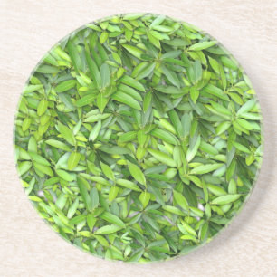 Dessous De Verre En Grès Motif Feuille verdoyant - Nature Botanique