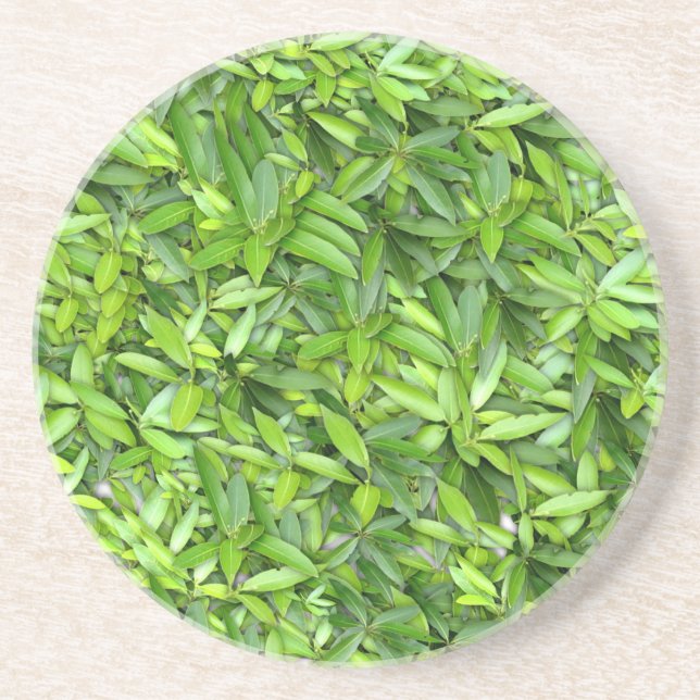 Dessous De Verre En Grès Motif Feuille verdoyant - Nature Botanique (Devant)