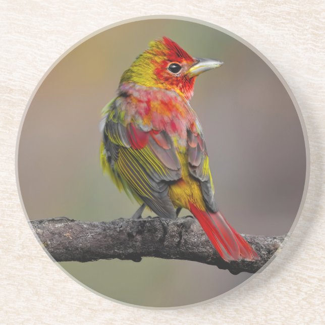Dessous De Verre En Grès Moulage de Tangère - Photo originale (Devant)