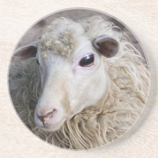 Dessous De Verre En Grès Moutons drôles (Devant)