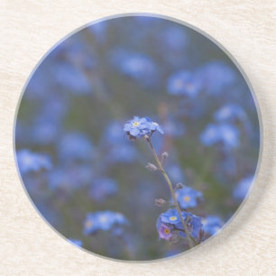 Dessous De Verre En Grès Myosotis des marais