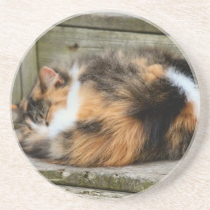 Dessous De Verre En Grès Naptime