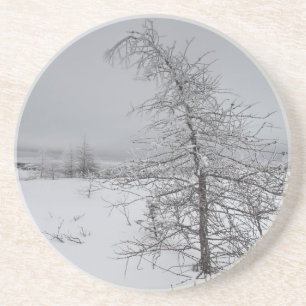 Dessous De Verre En Grès Narnia