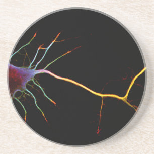 Dessous De Verre En Grès Neuroscience, neuron, science