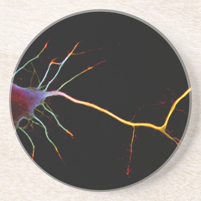 Dessous De Verre En Grès Neuroscience, neuron, science (Devant)