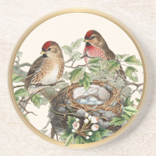 Dessous De Verre En Grès Nid d'oiseau Tarin des aulnes Printemps Nature Cad
