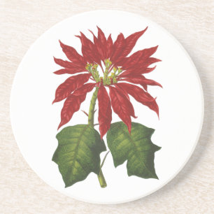 Dessous De Verre En Grès Noël vintage, poinsettia rouge plante d'hiver