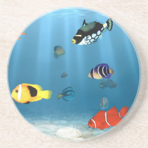 Dessous De Verre En Grès Océans des poissons