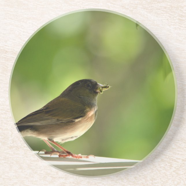 Dessous De Verre En Grès Oiseau en vert feuille arrière - plan (Devant)