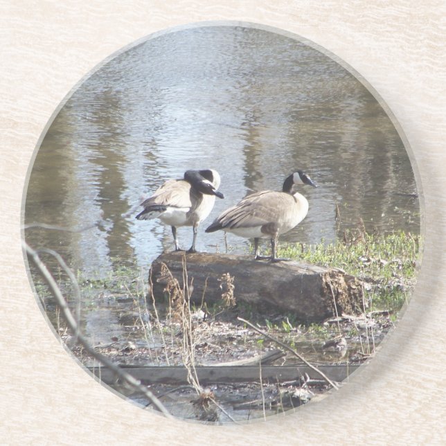 Dessous De Verre En Grès Oiseau sale (Devant)