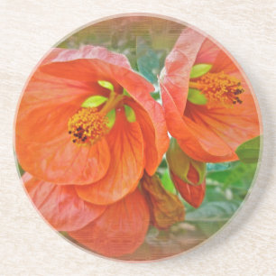 Dessous De Verre En Grès Orange Hibiscus Fleurs