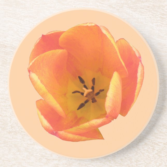 Dessous De Verre En Grès Orange Tulip Coasters (Devant)