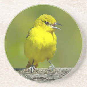 Dessous De Verre En Grès Orchard Oriole - Photo originale