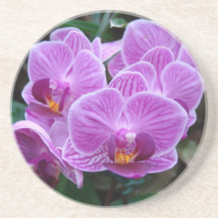 Dessous De Verre En Grès Orchidée de lavande