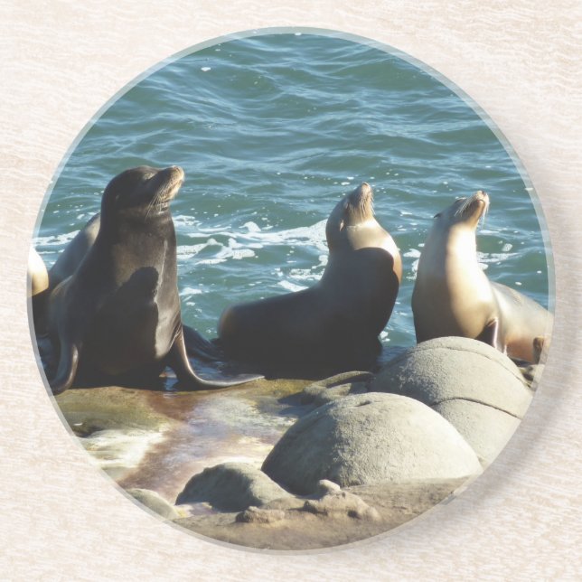 Dessous De Verre En Grès Otaries de San Diego (Devant)