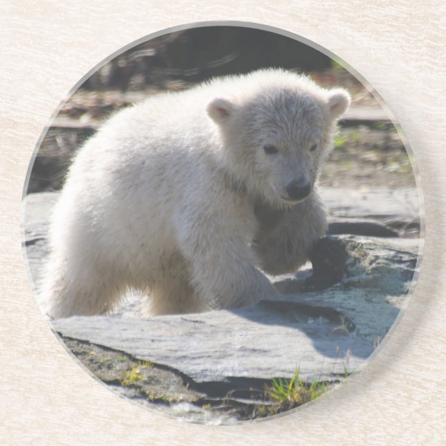 Dessous De Verre En Grès Ours 07 (Devant)