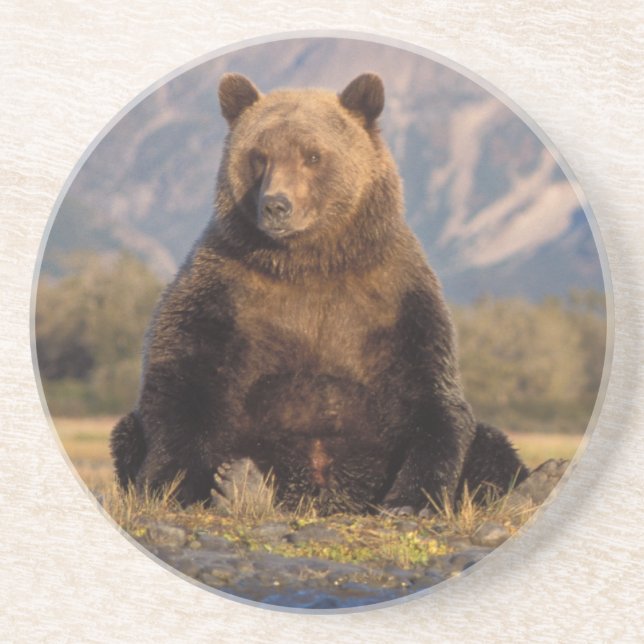 Dessous De Verre En Grès ours brun, Ursus arctos, grizzly, Ursus (Devant)