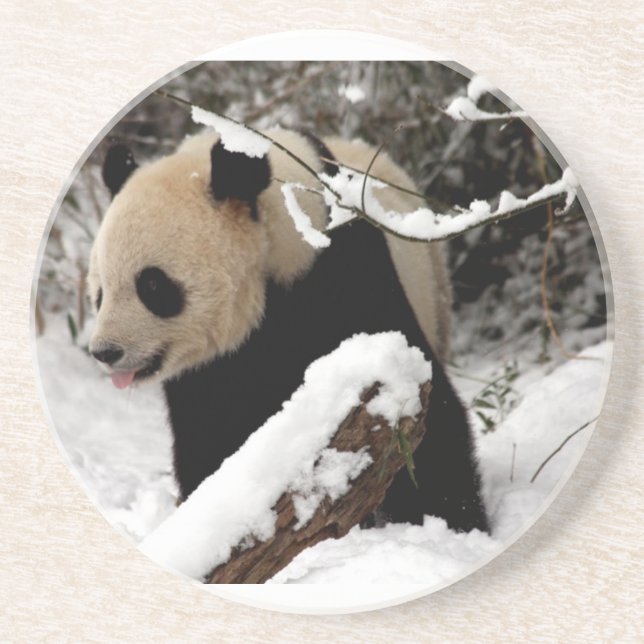 Dessous De Verre En Grès Ours Panda (Devant)