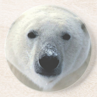 Dessous De Verre En Grès Ours polaire