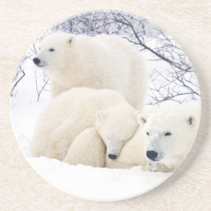 Dessous De Verre En Grès Ours polaires femelle et deux oursons