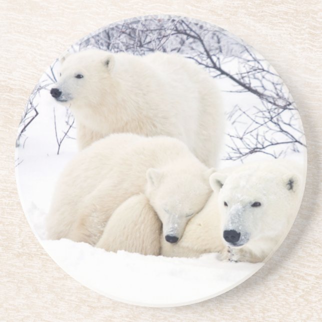 Dessous De Verre En Grès Ours polaires femelle et deux oursons (Devant)