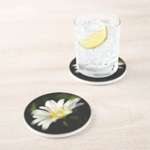 Dessous de verre en grès Oxeye Daisy