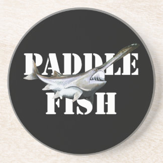 Dessous De Verre En Grès Paddle