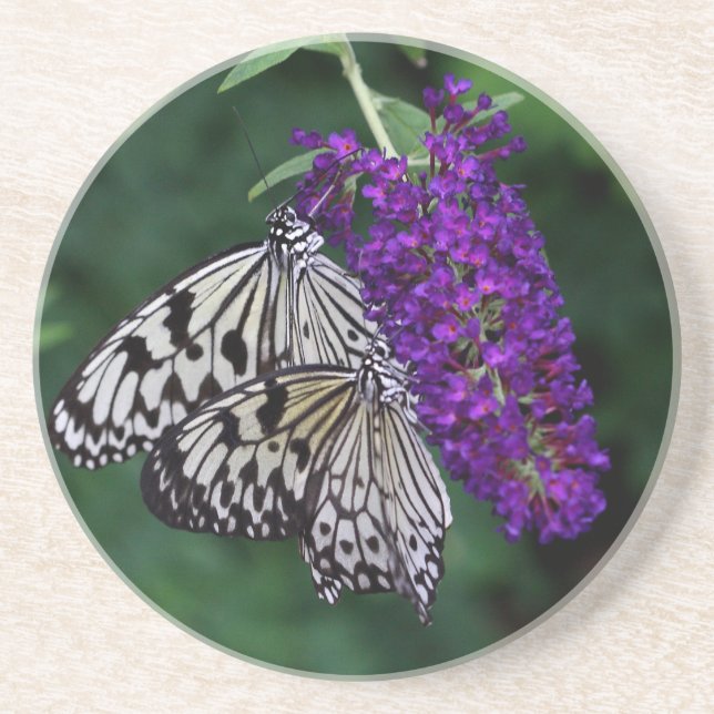 Dessous De Verre En Grès Paire de papillons de cerf-volant en papier (Devant)