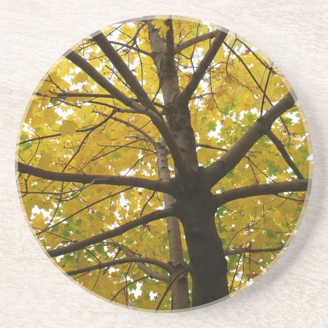 Dessous De Verre En Grès Paire d'érables jaunes Nature d'automne (Devant)