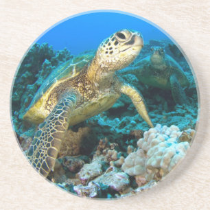 Dessous De Verre En Grès Paires de tortue