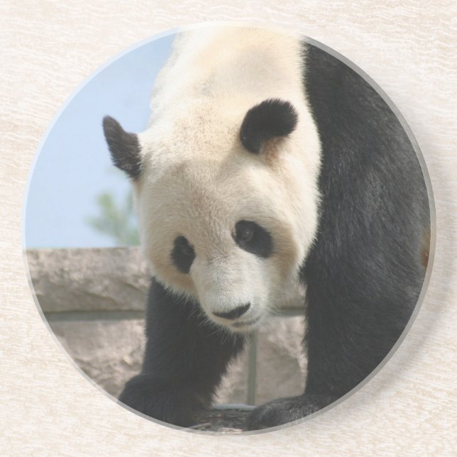 Dessous De Verre En Grès Panda20170506_by_JAMFoto (Devant)