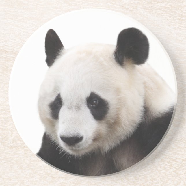 Dessous De Verre En Grès “Panda”の優良製品 (Devant)