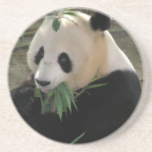 Dessous De Verre En Grès Panda Bear Hugs