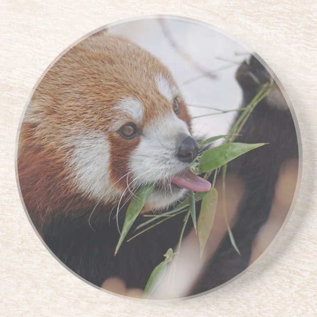 Dessous De Verre En Grès panda rouge impression animale mignon (Devant)