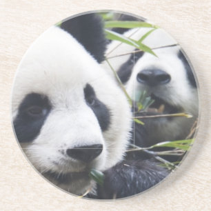 Dessous De Verre En Grès Pandas géants