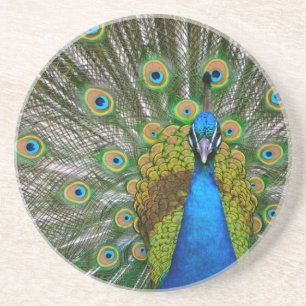 Dessous De Verre En Grès Paon
