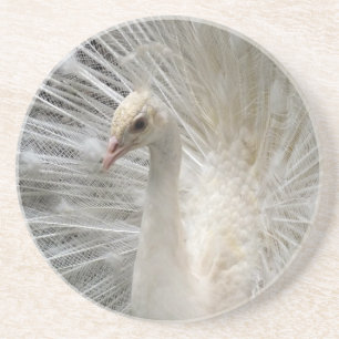 Dessous De Verre En Grès Paon impérial