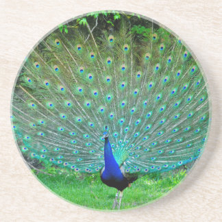 Dessous De Verre En Grès Paon léger