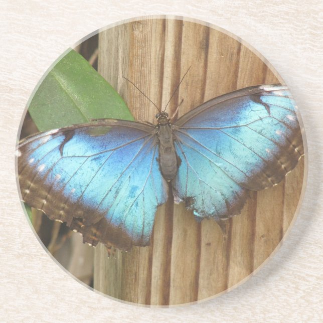 Dessous de verre en grès Papillon (Devant)