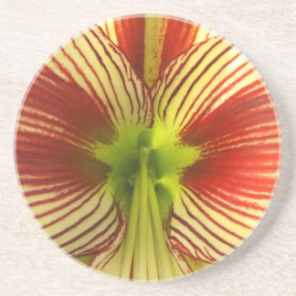 Dessous De Verre En Grès Papillon Amaryllis
