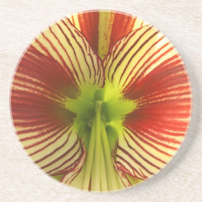 Dessous De Verre En Grès Papillon Amaryllis (Devant)