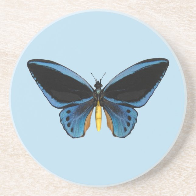 Dessous De Verre En Grès Papillon Birdwing (Devant)