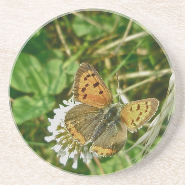 Dessous De Verre En Grès Papillon de cuivre américain (Devant)