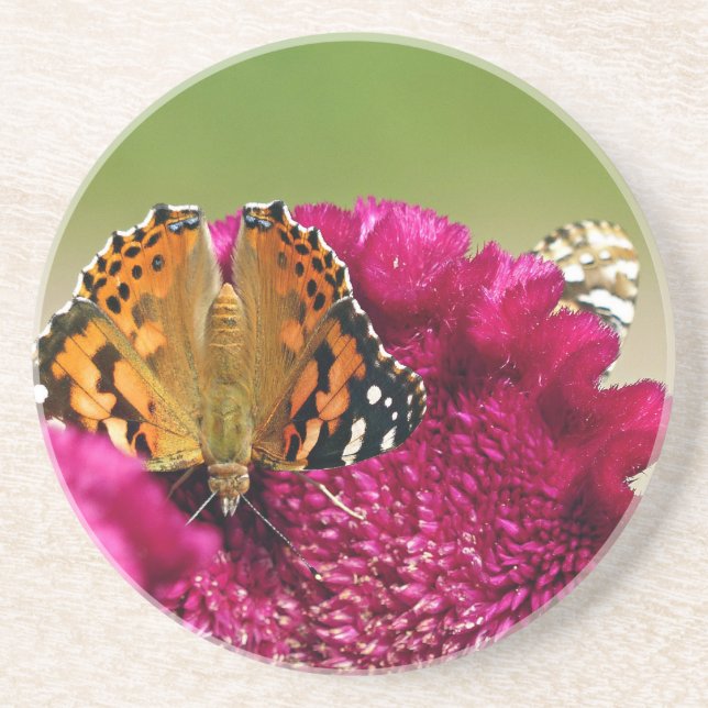 Dessous De Verre En Grès Papillon de la Dame peinte (Devant)
