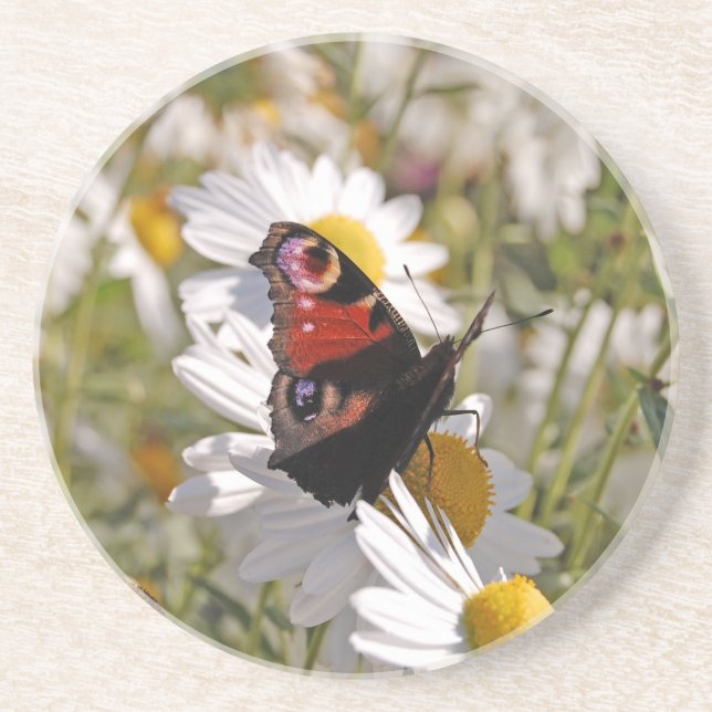 Dessous De Verre En Grès Papillon noir violet rouge sur les marguerites (Devant)